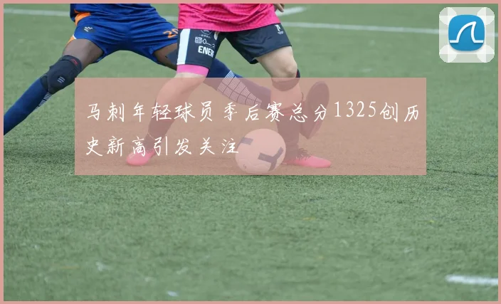 马刺年轻球员季后赛总分1325创历史新高引发关注